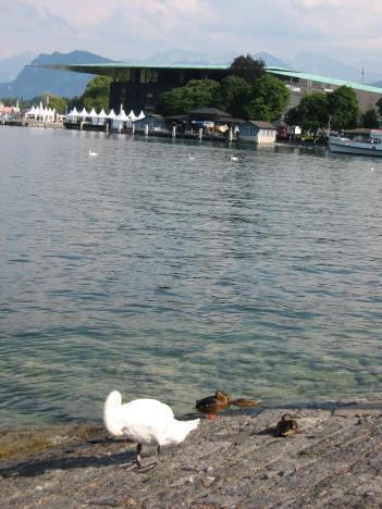 Luzern 026.jpg   31kb   26.03.2021 22:31:27